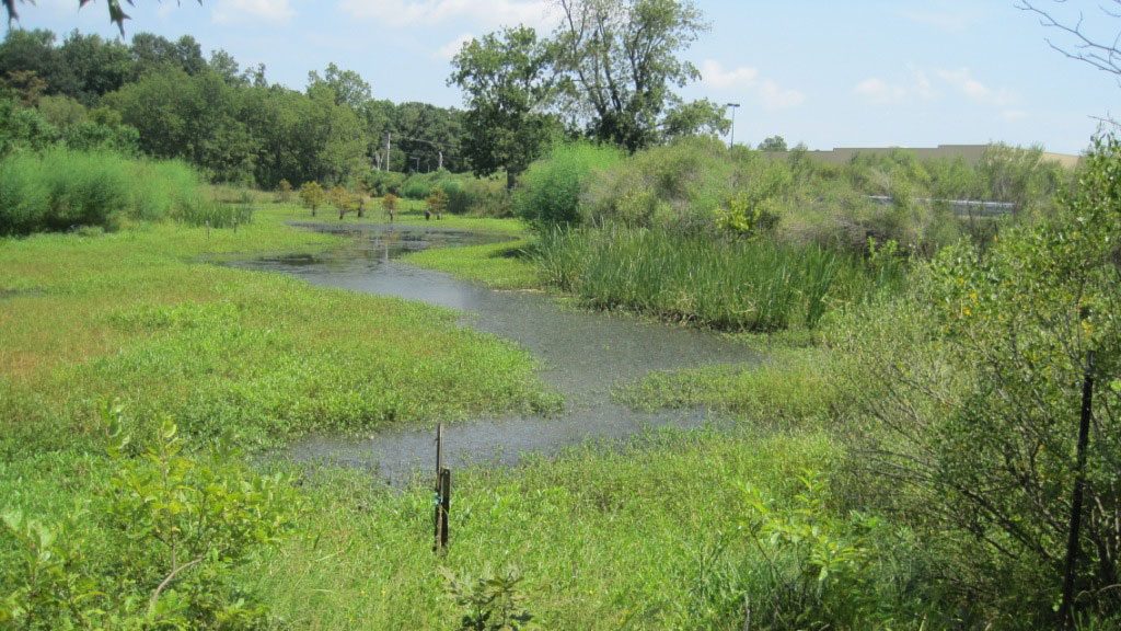 Wetlands Mitigation Pine Bluff, AR